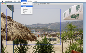 nessViewer picture editing