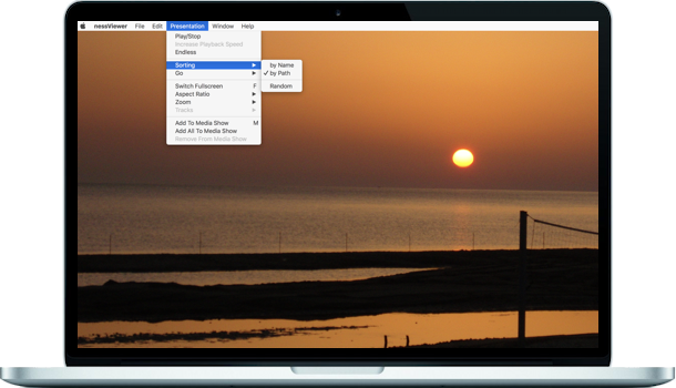 nessViewer media presentation