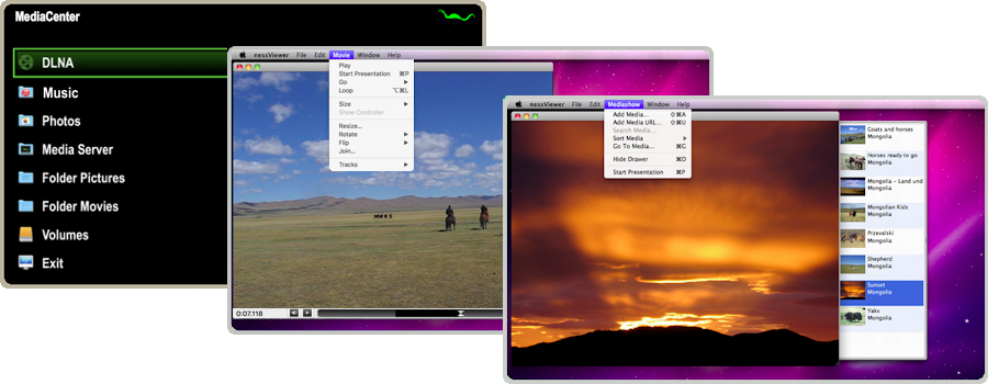 nessViewer About